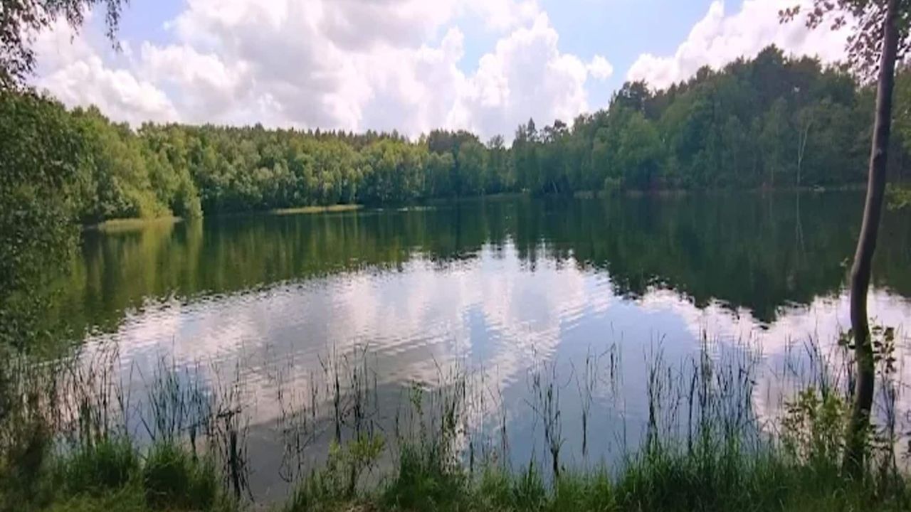 AreaSummer5KM AreaSummer5KM